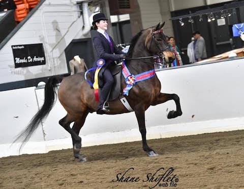Mia and Nicky at UPHA-14 2019 Spring Show