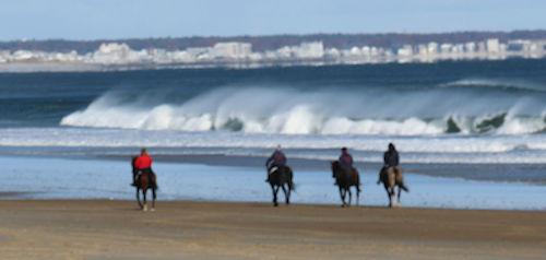 Chrislar group riding at Salisbury beach