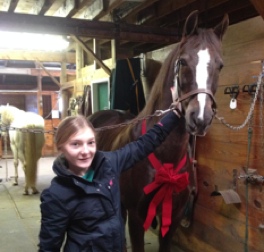 Congratulations Olivia Griffin on her new horse 