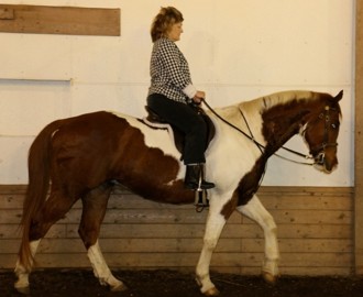 Congrats to Rebecca on the purchase of her new paint gelding