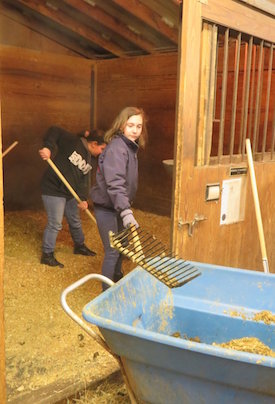 kids learned about horse care and mucking