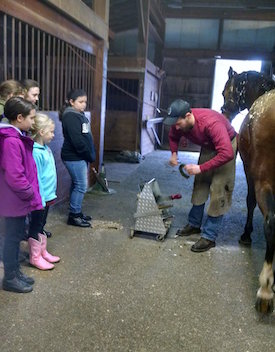 Chrislar group at horse camp day watching farrier