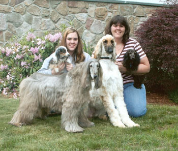 Dog Groomers Machaele and Tasha with Walker and Wolfie