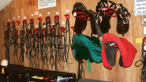 tack room showing saddles and bridles