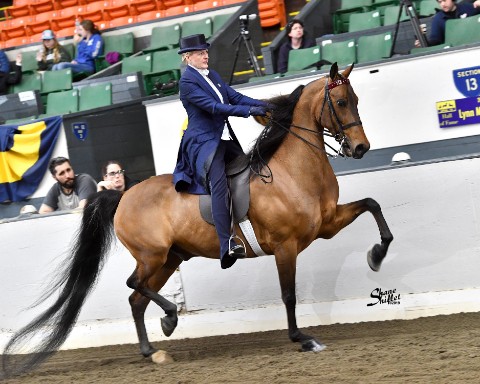 Ozzie at UPHA-14 2019 Spring Show