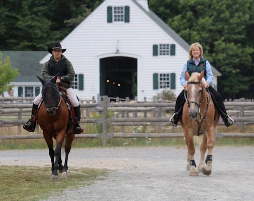 Peppy and Kalina (belgian mare for sale) at Acadia National Park