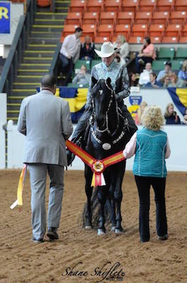 Sis getting Mass Morgan Horse show Association Championship award