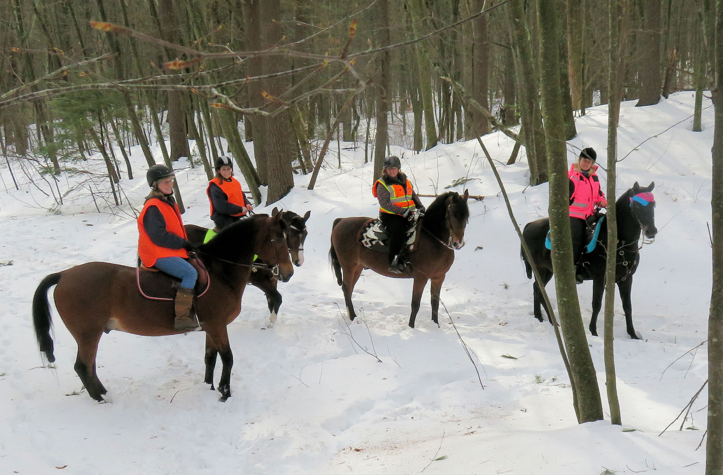 Chrislar group trail riding