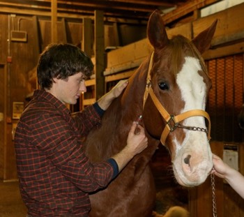 Dr. Derek Cavatorta DVM of SRH Veterinary Services