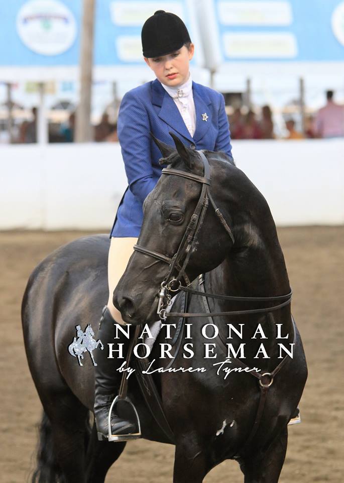 huntseat rider in ring at New England Morgan Horse Show