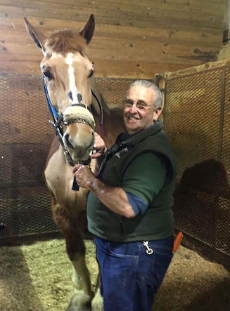 Gary Saccocia - Equine Dentist