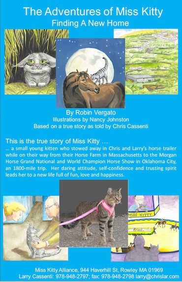 The Adventures of MIss KItty - Finding a New Home book - book poster