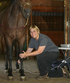 Helen Noble DVM of SRH Veterinary Services
