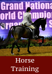 horse training - click for info