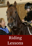 riding lessons - click for info