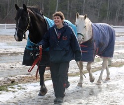 riding instructor Lynn Pomerleau leading two horses in from turnout